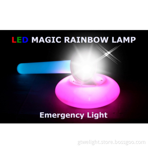 Artistic Vase Lamp/Torch with Living Colors